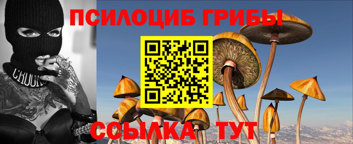 Галлюциногенные грибы прущие грибы Волгоград