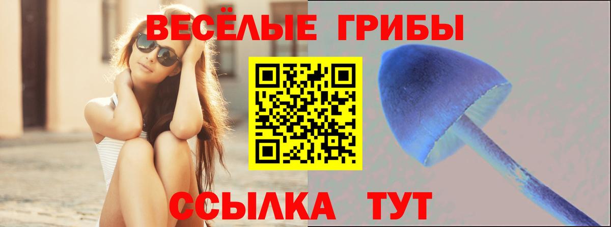 Псилоцибиновые грибы Cubensis  Вход с VPN  продажа наркотиков  Волгоград  Галлюциногенные грибы Cubensis 